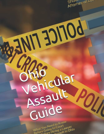 Ohio Vehicular Assault Guide